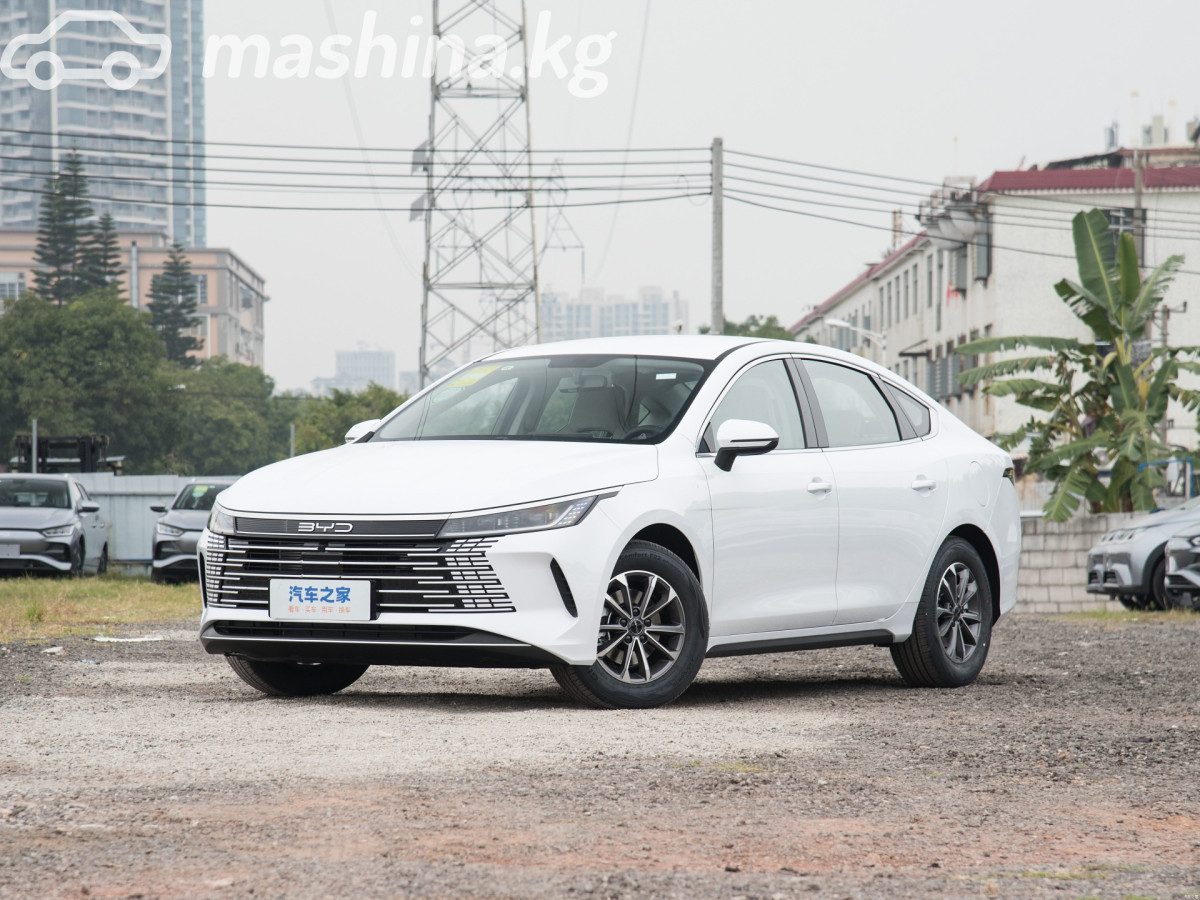 BYD Destroyer 05