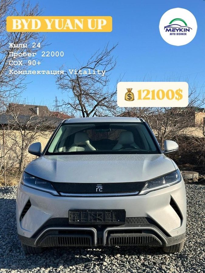BYD Yuan Up