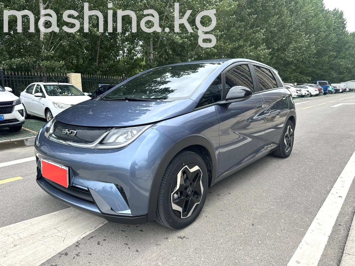 BYD Dolphin 2025