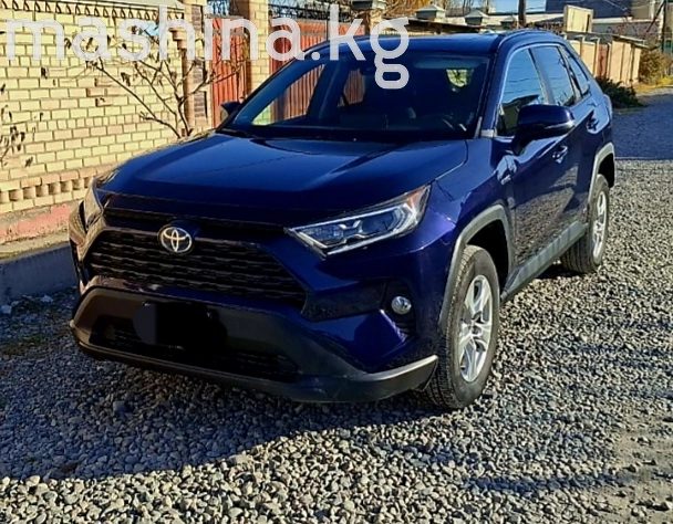 Toyota RAV4 V (XA50) 2020