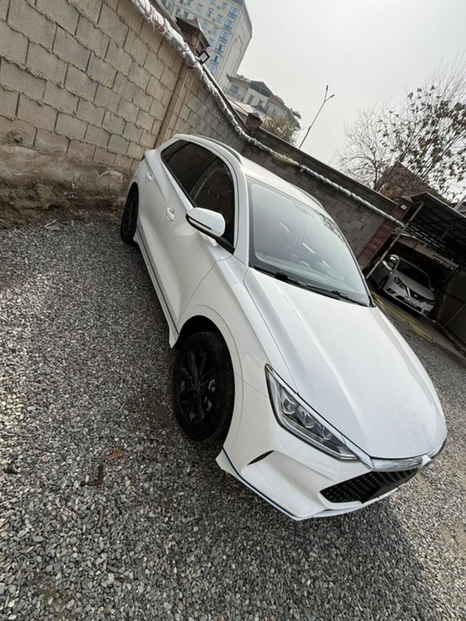 BYD E2