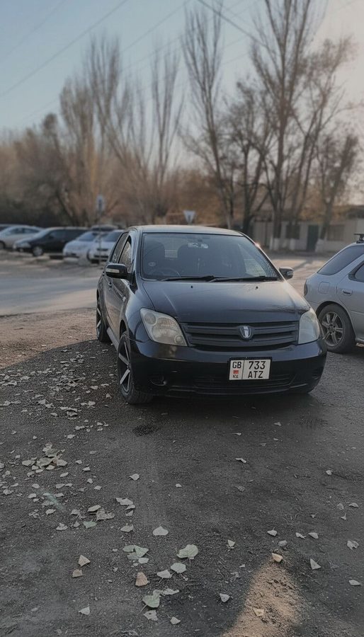 Toyota Ist