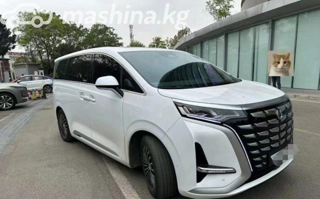 Denza D9