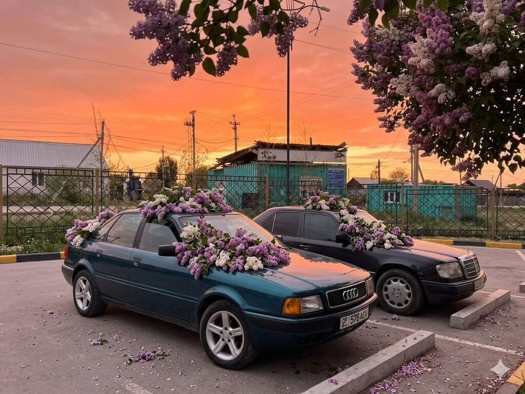 Audi 80