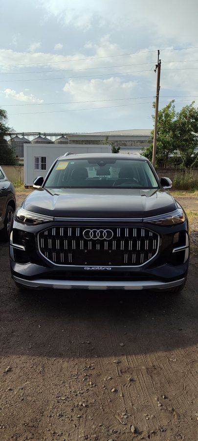 Audi Q6