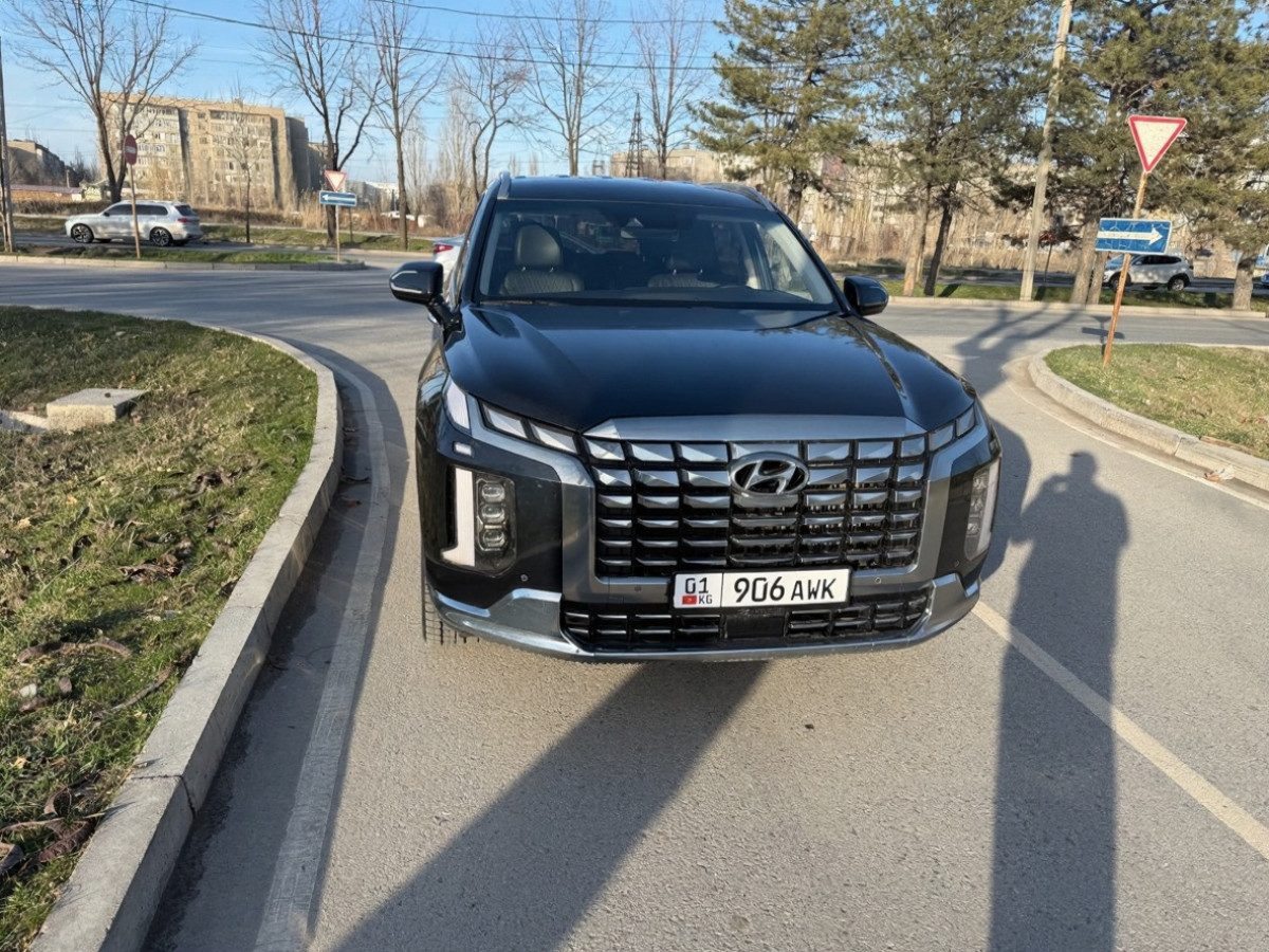 Hyundai Palisade I