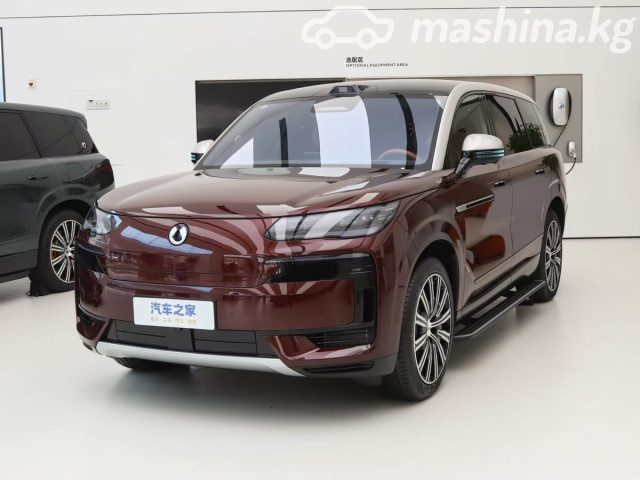 Denza N9