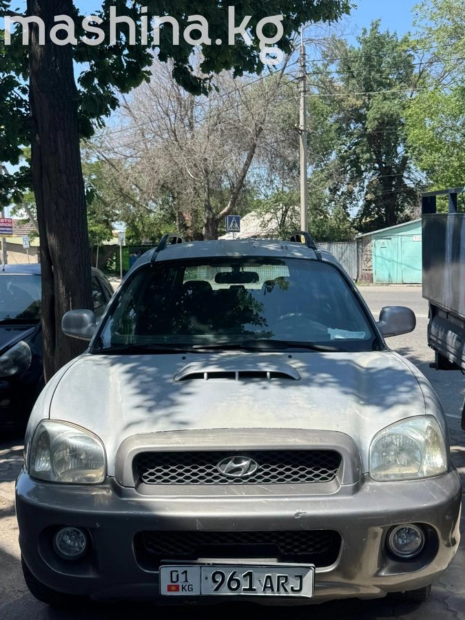 Hyundai Santa Fe I 2003