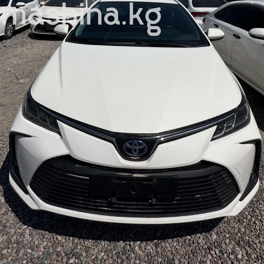 Toyota Corolla XII (E210) 2022