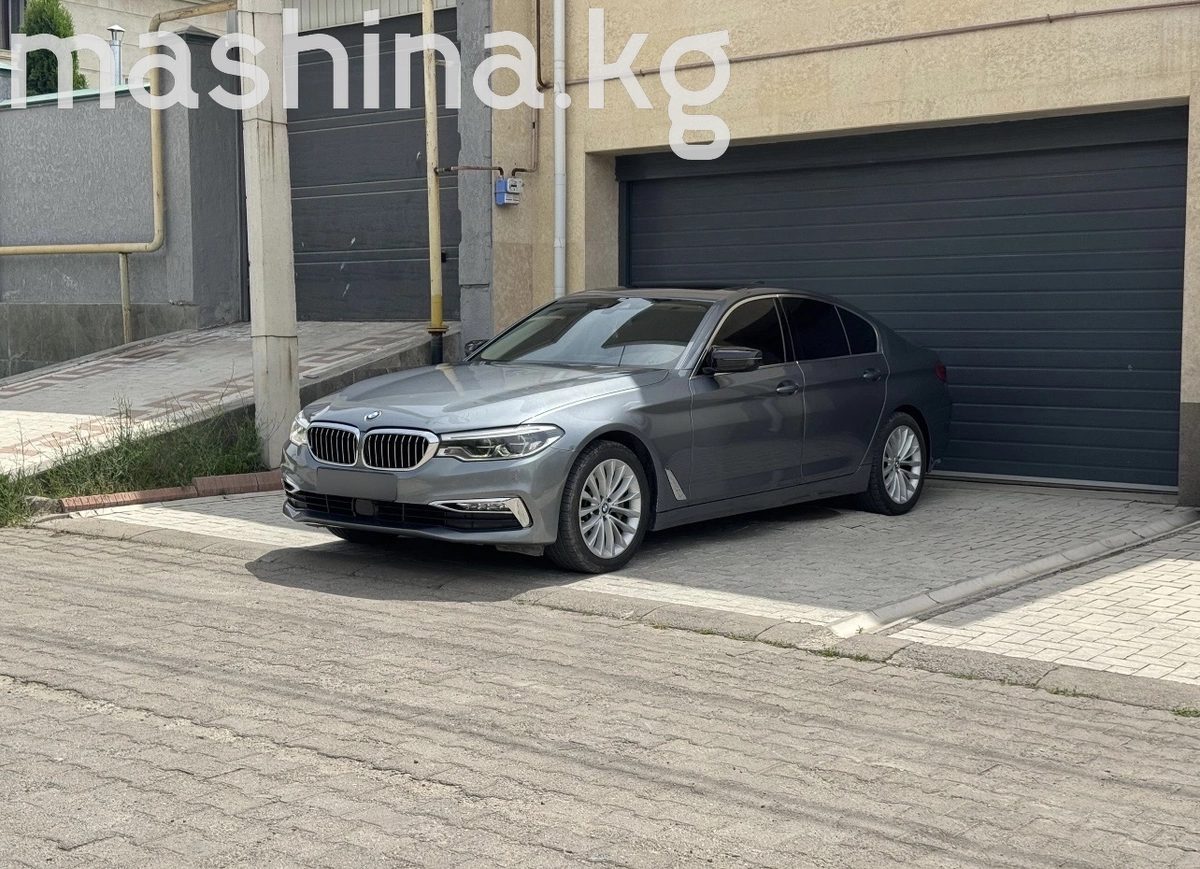BMW 5 серии VII (G30/G31) 2019