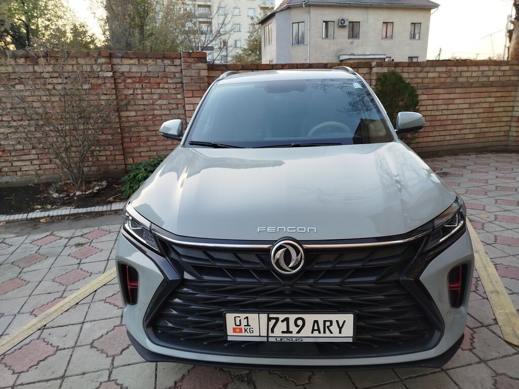 Dongfeng 580