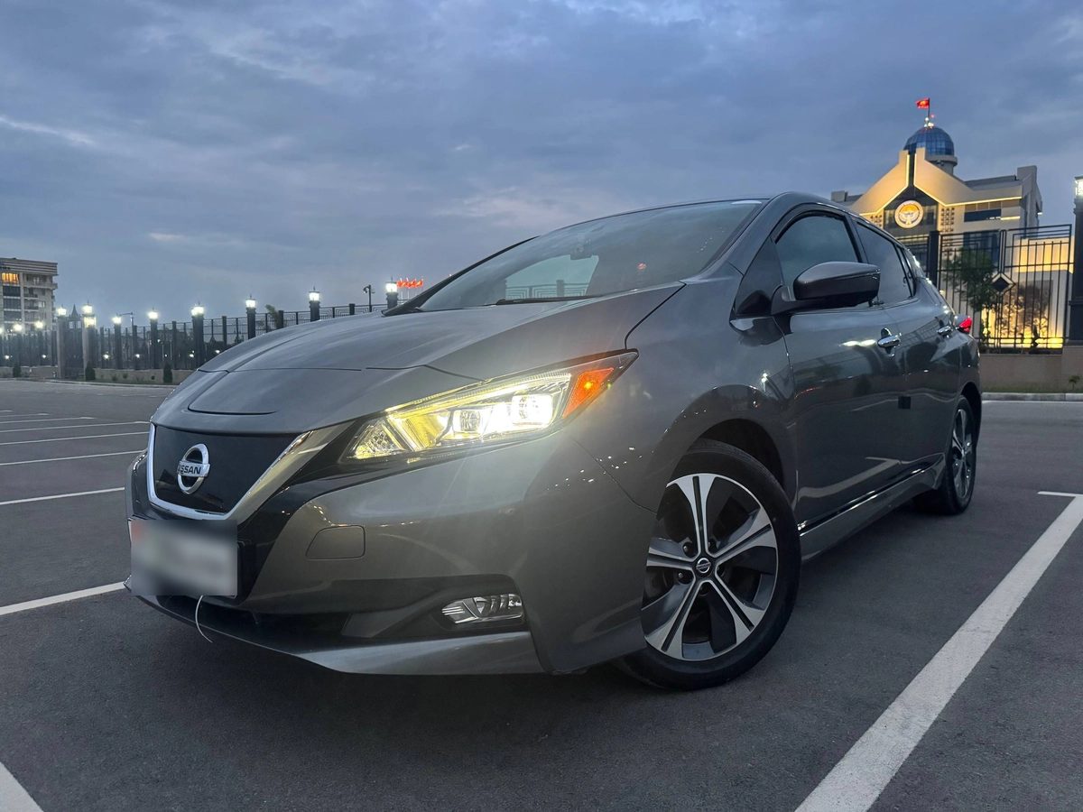 Nissan Leaf II (ZE1) 2019