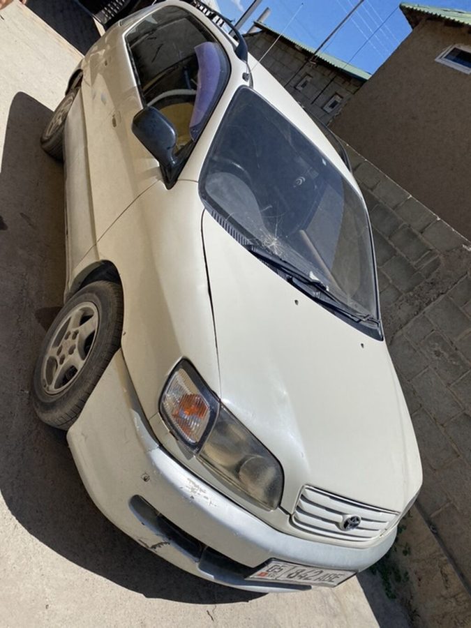 Toyota Ipsum