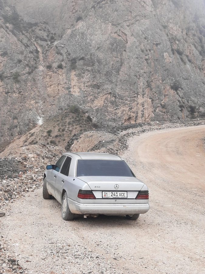 Mercedes-Benz W124 1990