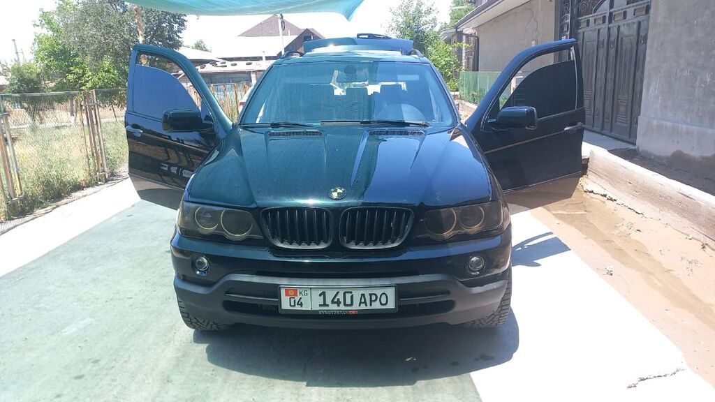 BMW X5