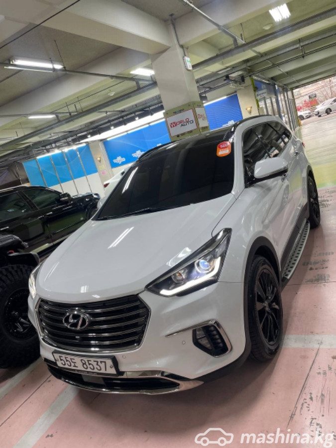 Hyundai Maxcruz