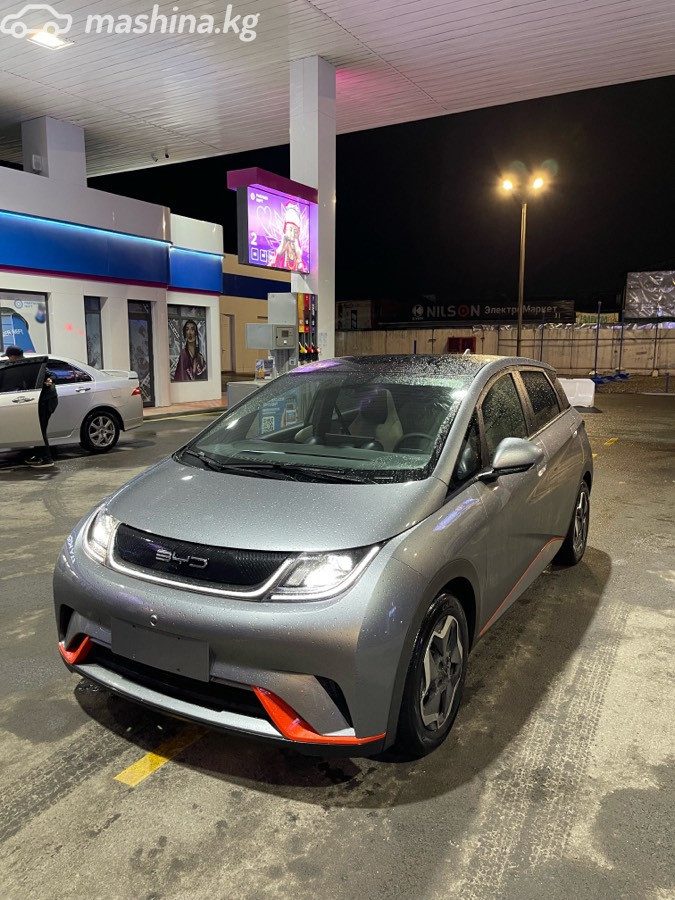 BYD Dolphin