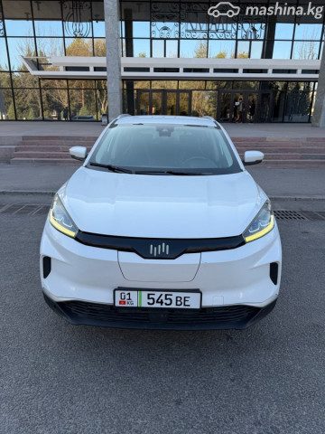 Weltmeister EX5