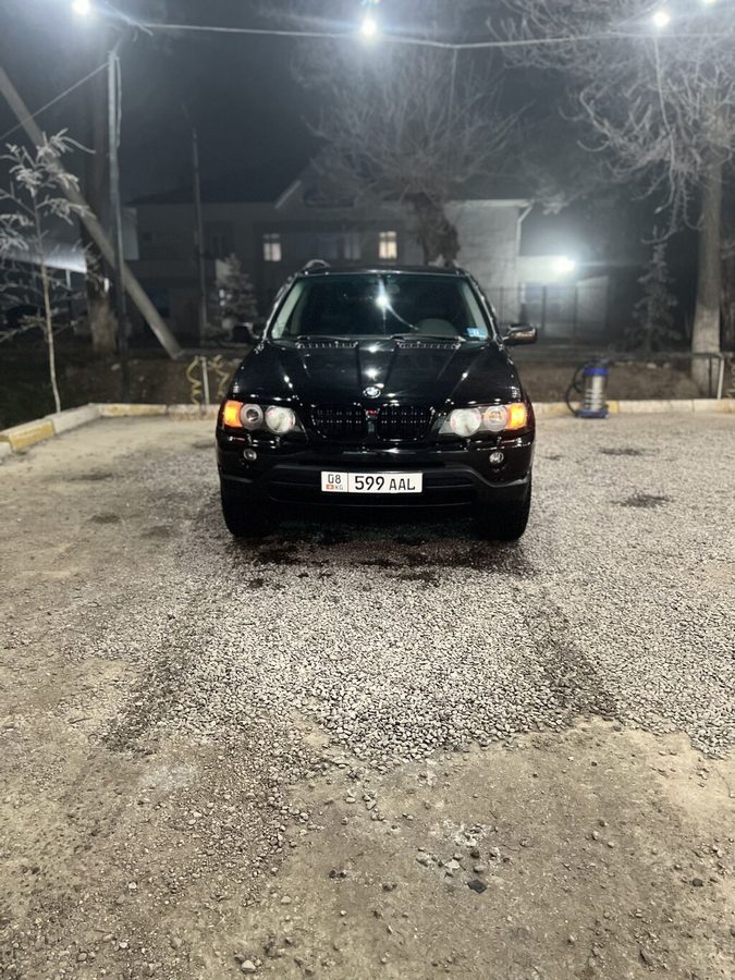 BMW X5