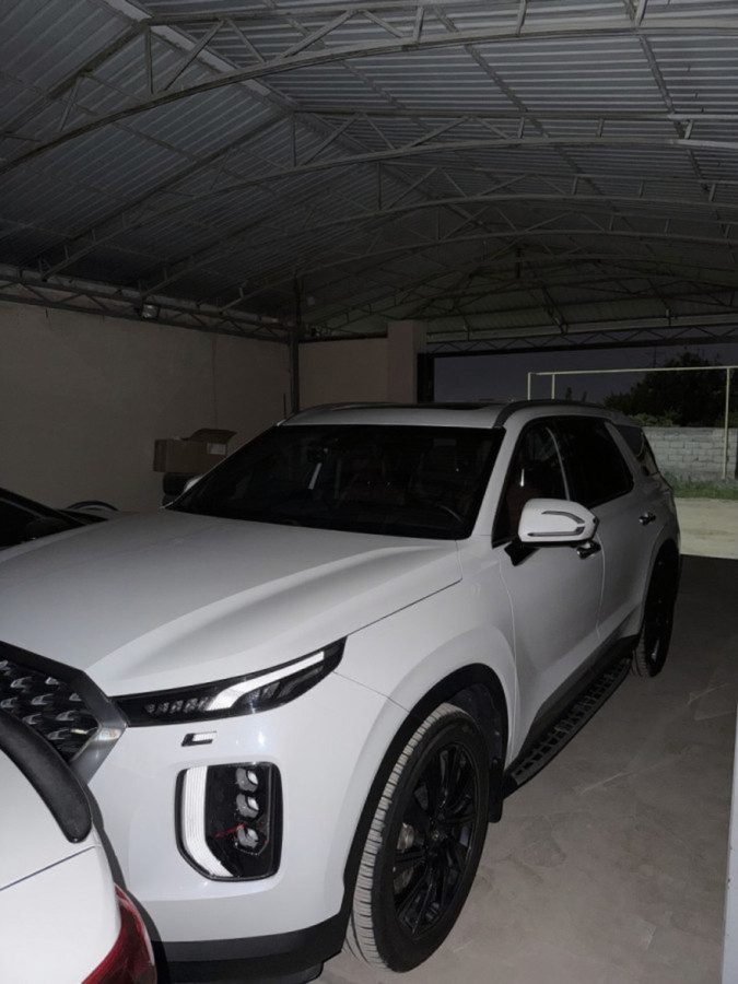 Hyundai Palisade I