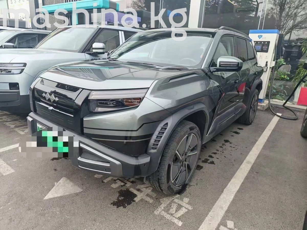 BYD FangChengBao Leopard 3 2025
