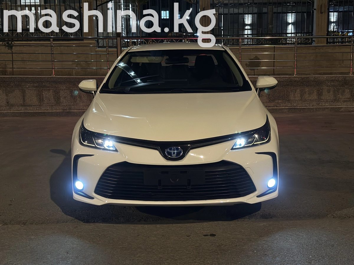 Toyota Corolla XII (E210) 2022
