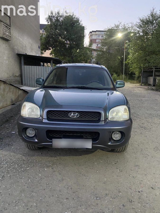 Hyundai Santa Fe I 2003