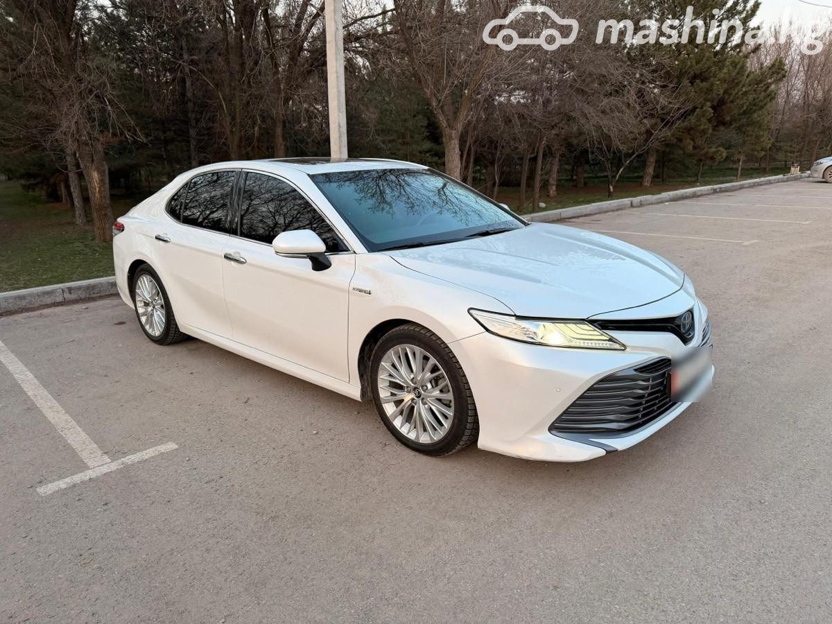 Toyota Camry (Japan)