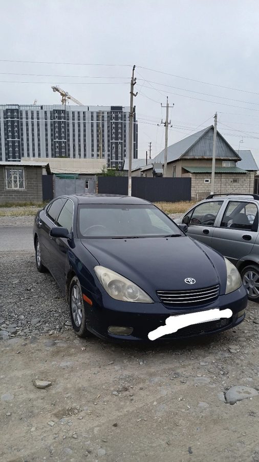 Toyota Windom