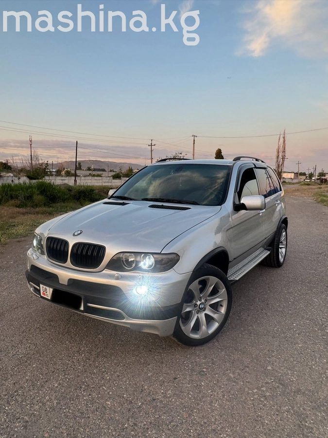 BMW X5 I (E53) Рестайлинг 2004