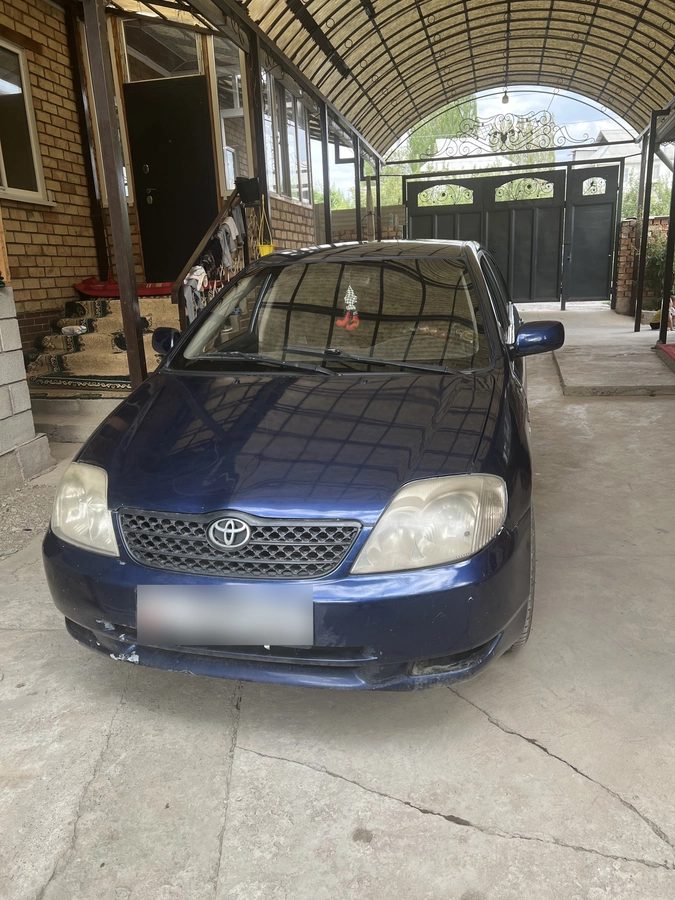 Toyota Corolla IX (E120, E130) 2003