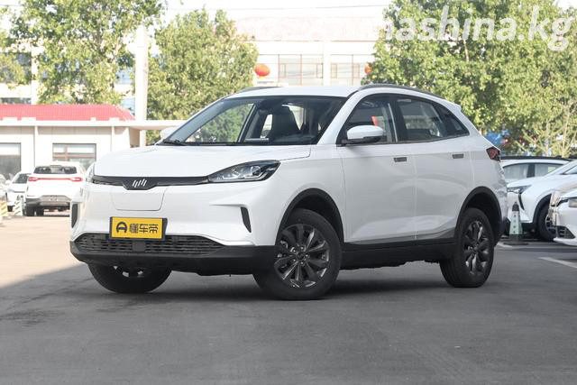 Weltmeister EX5 I