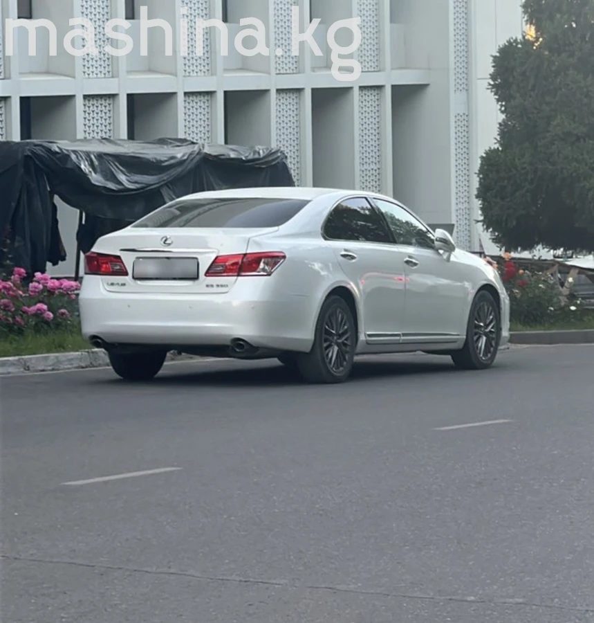 Lexus ES V Рестайлинг 2010