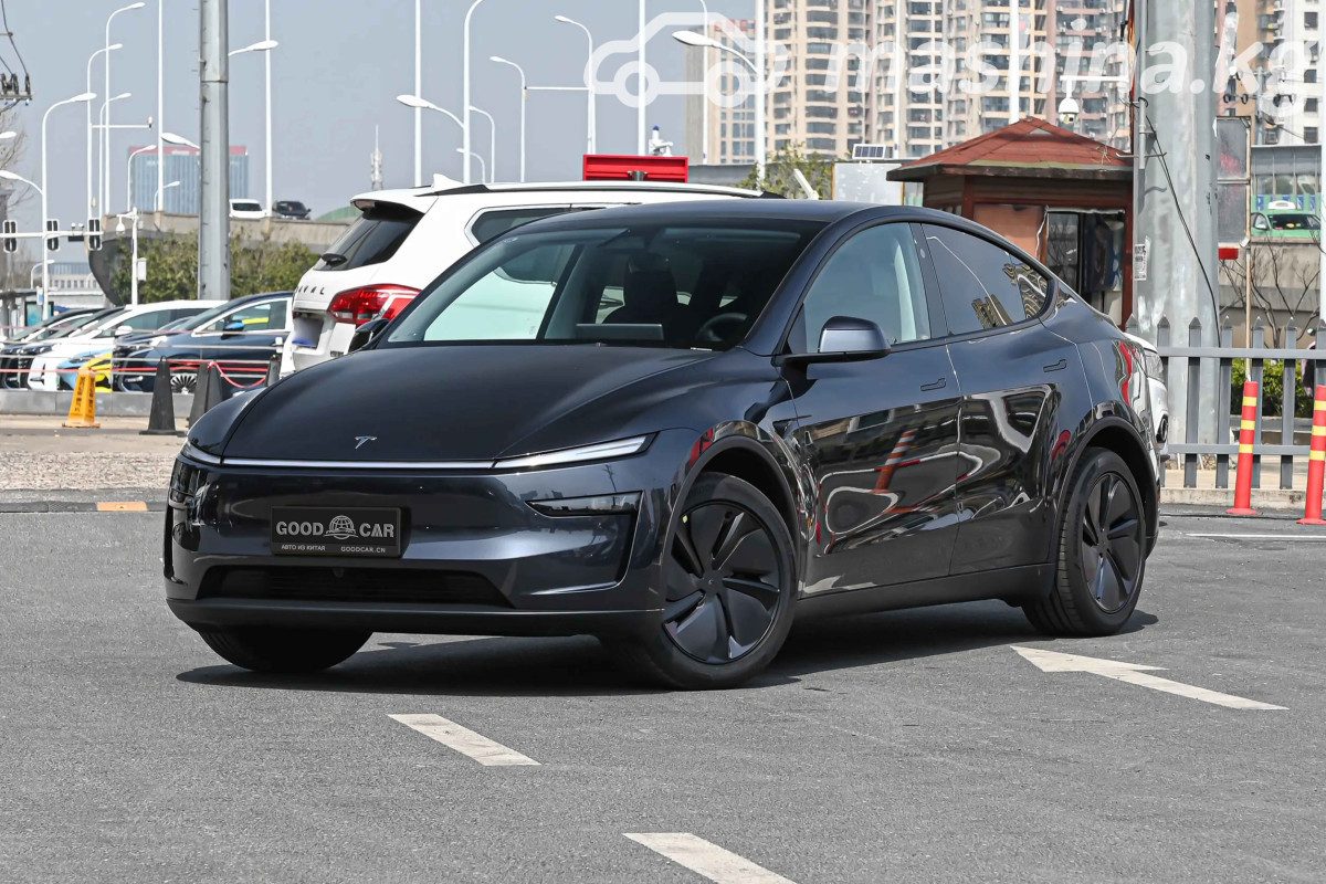Tesla Model Y I