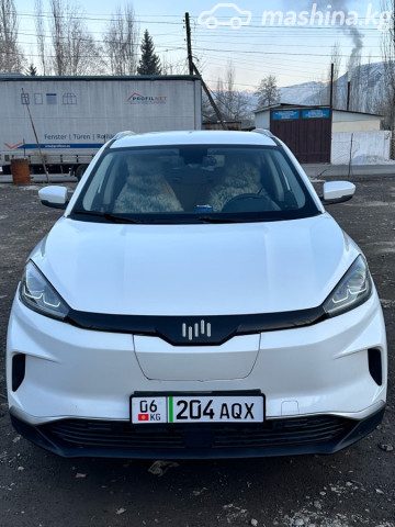 Weltmeister EX5