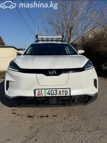 Weltmeister EX5