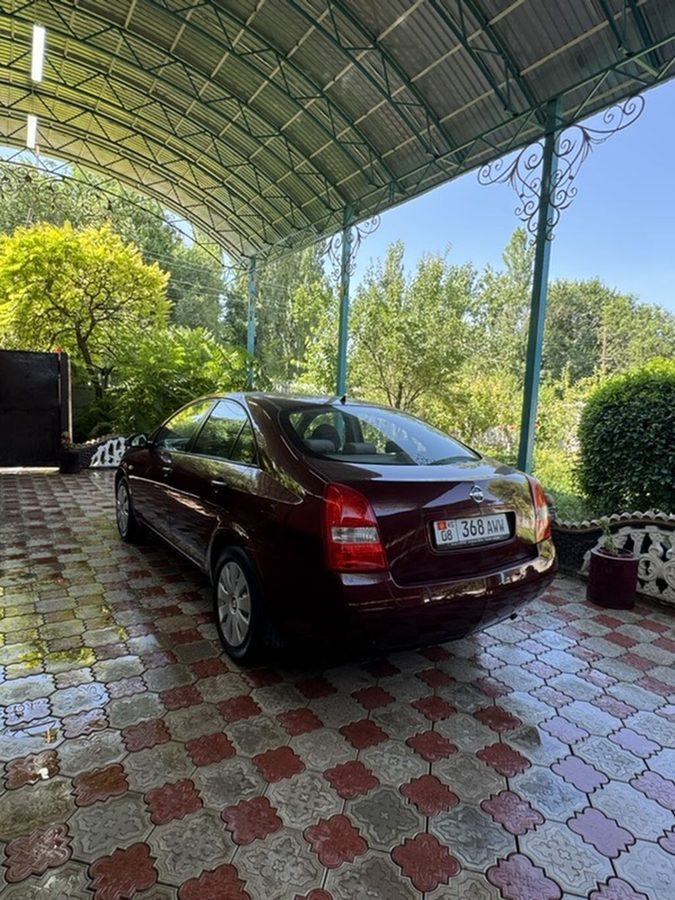 Фото 4