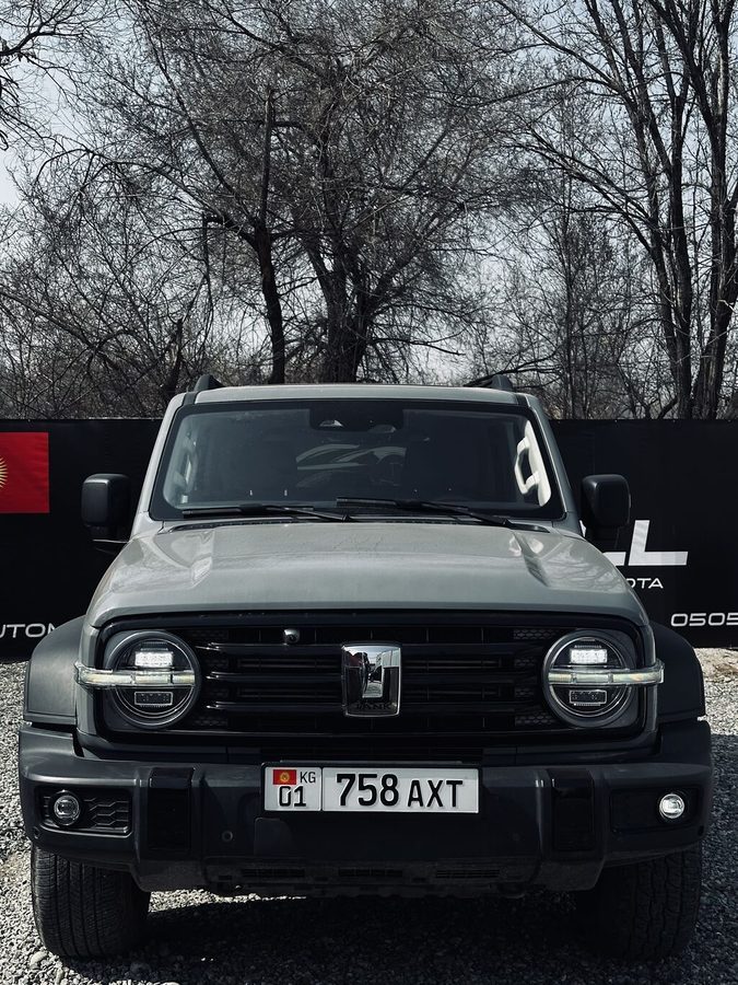 Tank 300