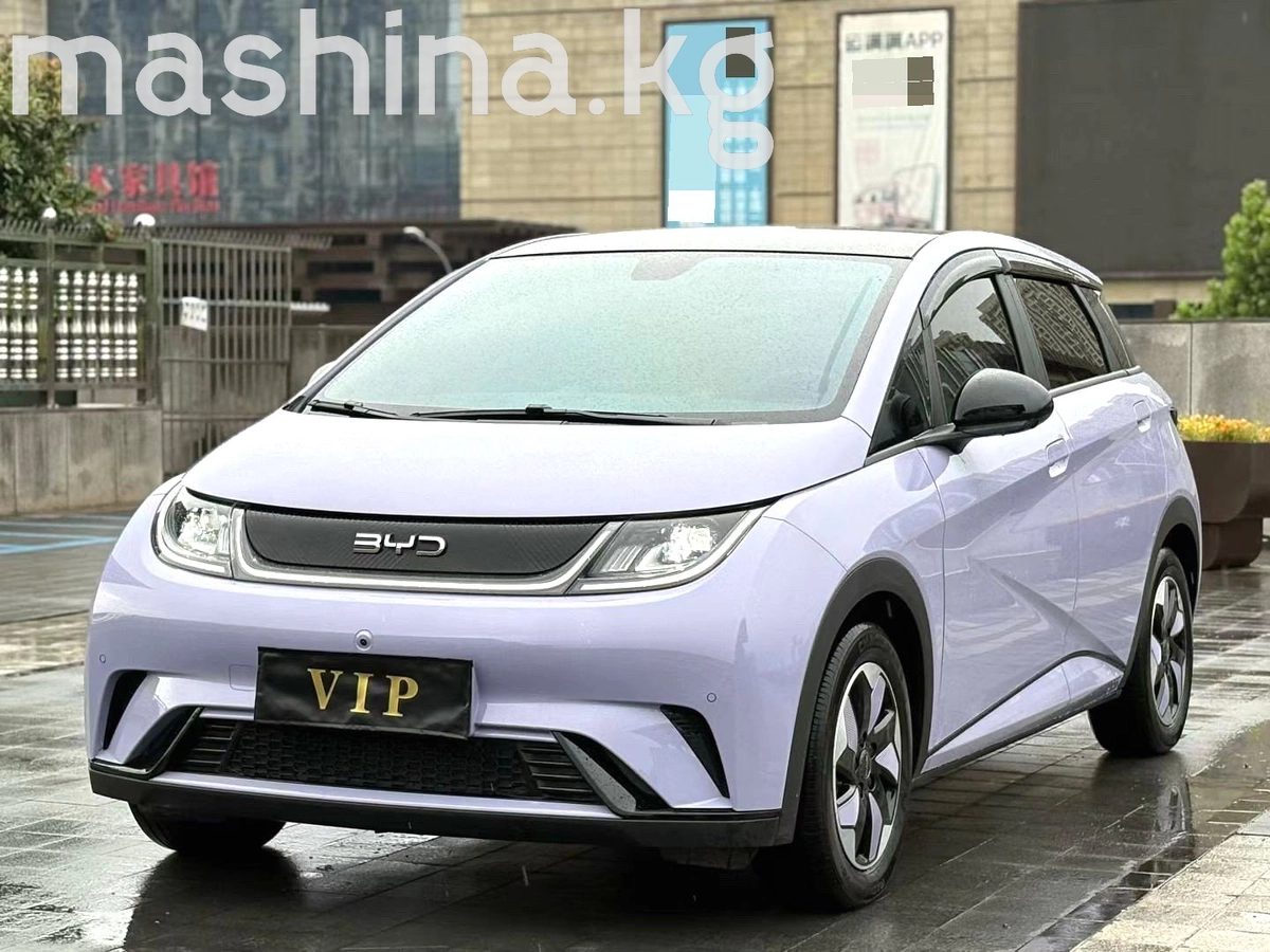 BYD Dolphin 2024