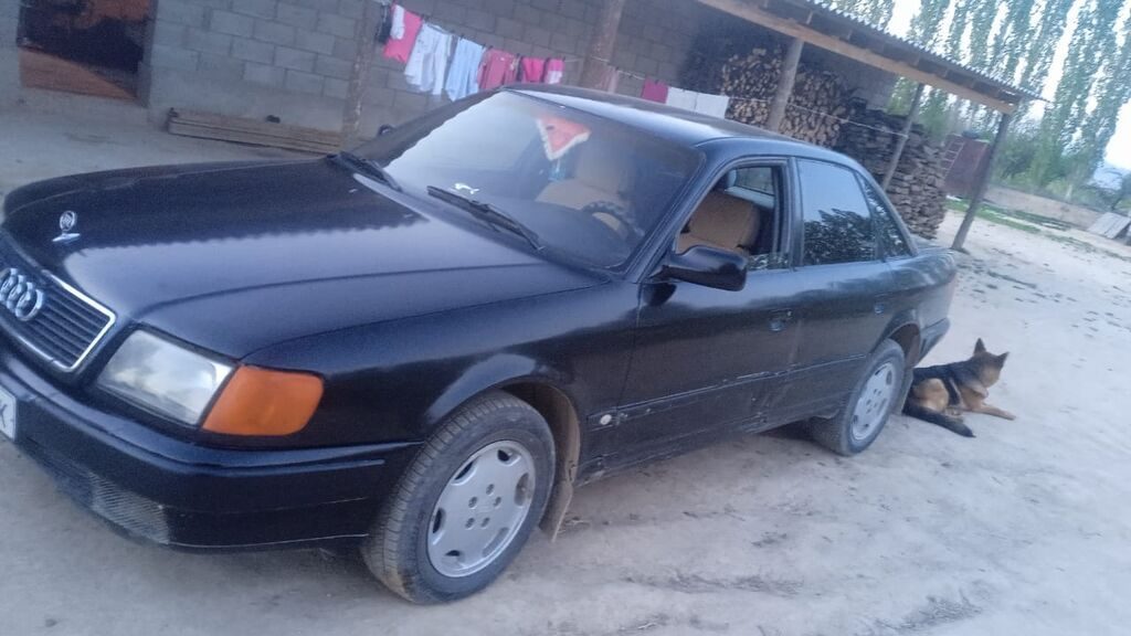 Audi 100