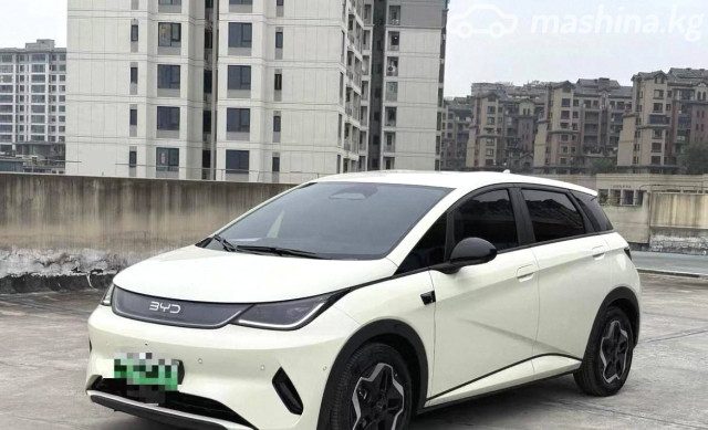 BYD Dolphin