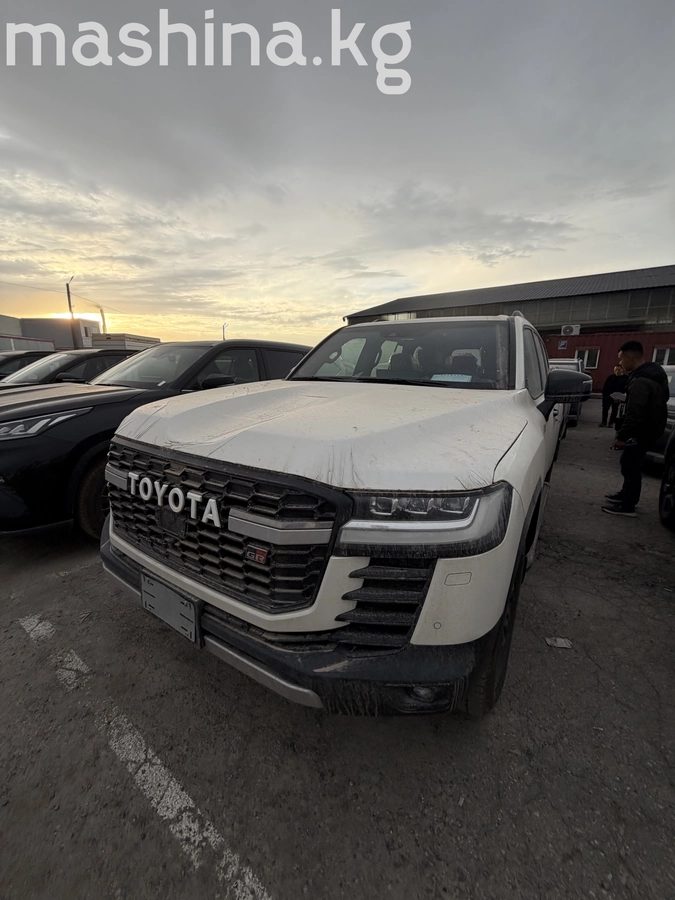 Toyota Land Cruiser 300 Series 2025