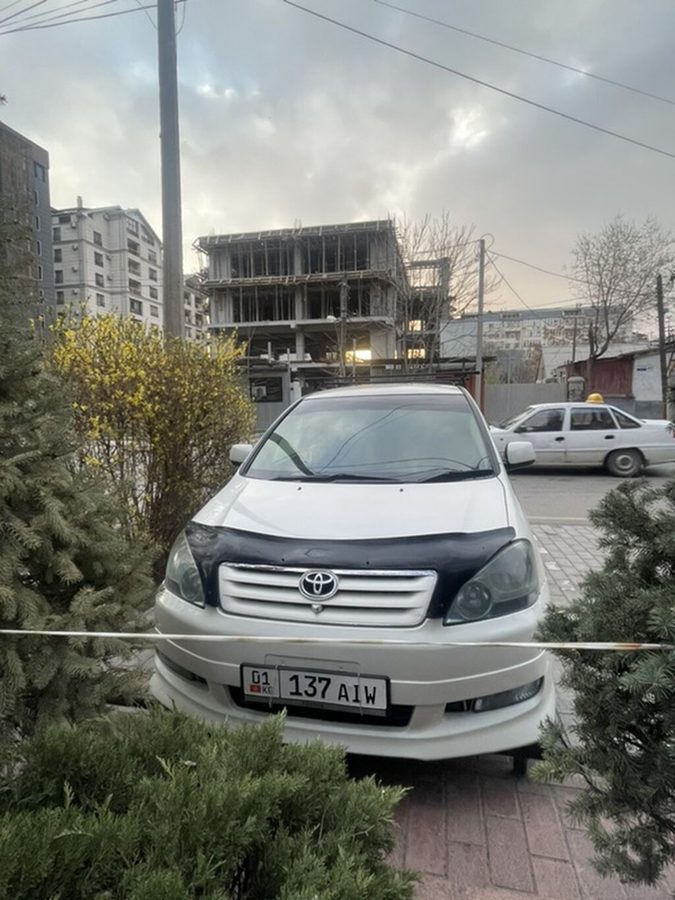 Toyota Ipsum