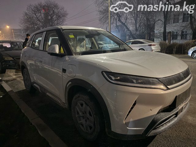 BYD Yuan Up