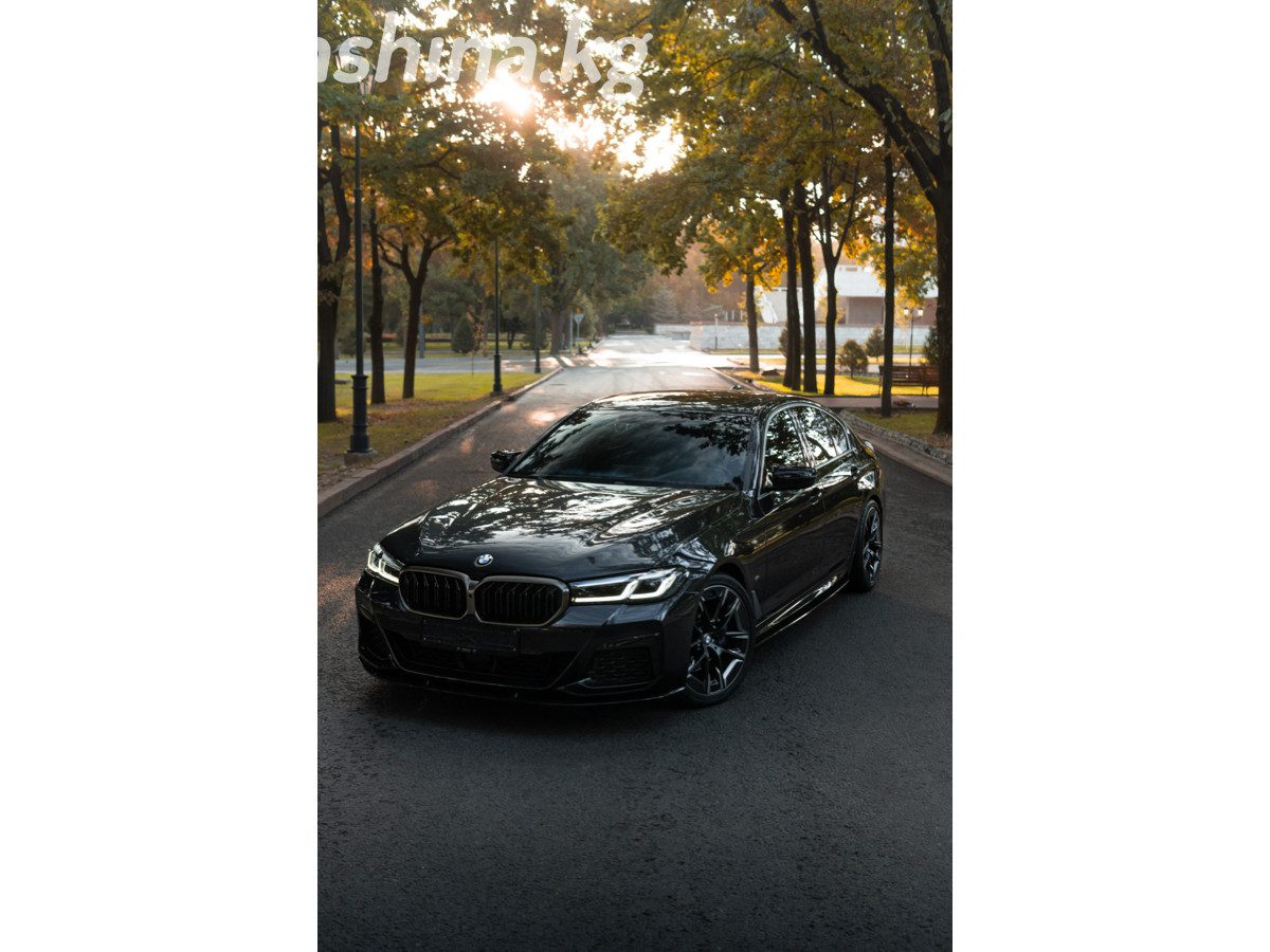 BMW 5 серии VII (G30/G31) Рестайлинг