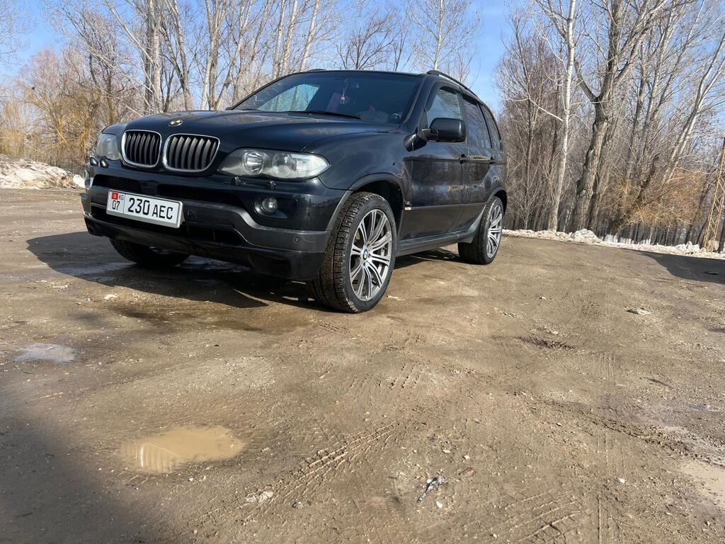 BMW X5