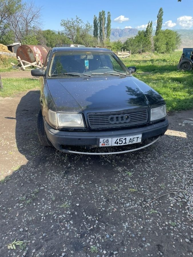 Audi 100
