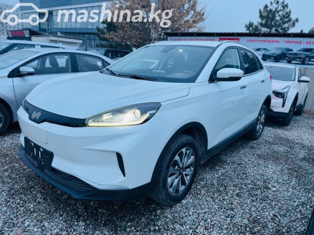Weltmeister EX5