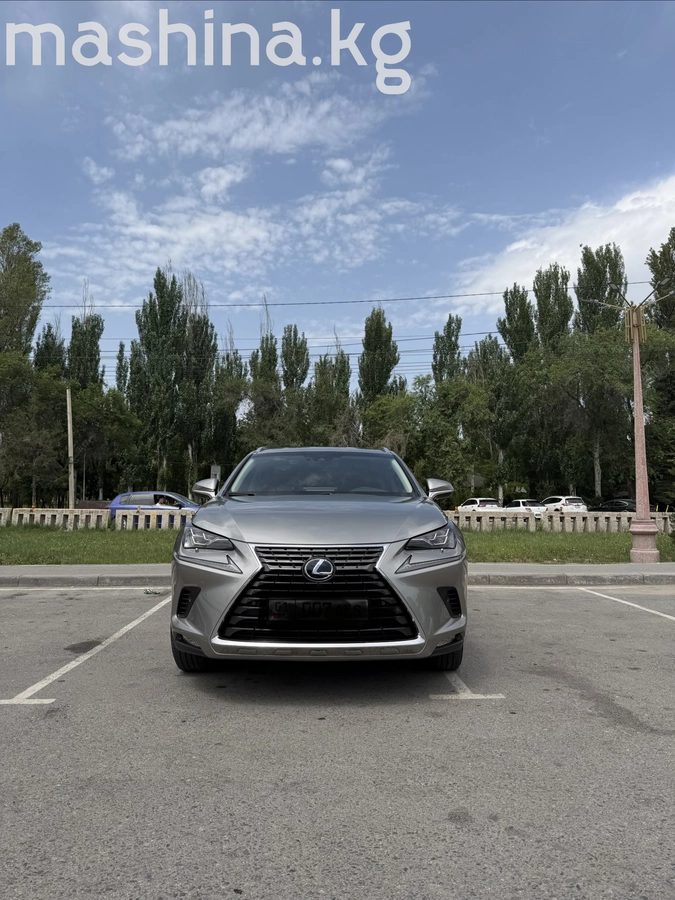 Lexus NX I Рестайлинг 2019