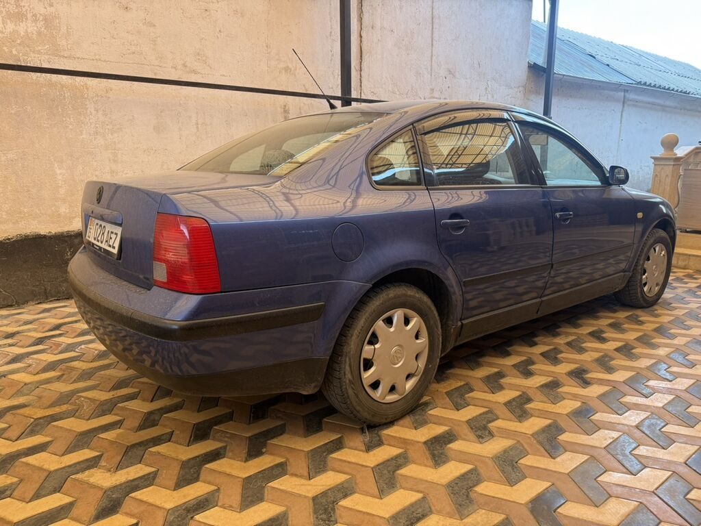 Фото 3